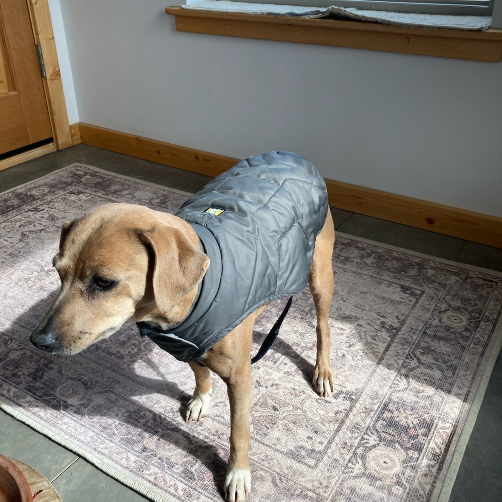 Ruffwear Gray Dog Jacket. XS